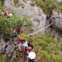Les Ifers Les Arbres De L'aventure