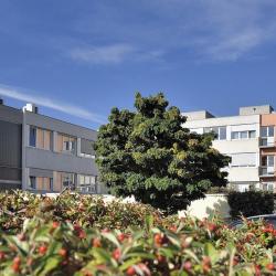 🏥 Hôpital Privé La Châtaigneraie - Elsan