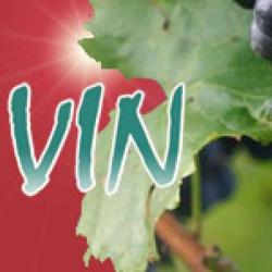 XV Sur Vin