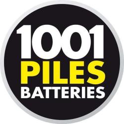 1000 Et Une Piles
