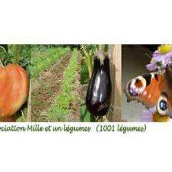 1001 Légumes Siège