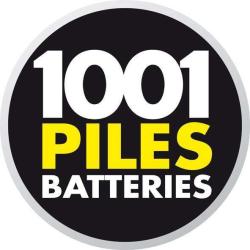 1001 Piles Batteries