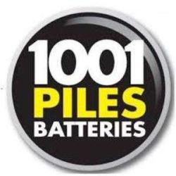 1001 Piles Batteries