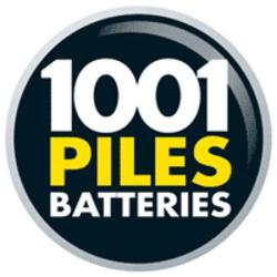 1001 Piles Batteries