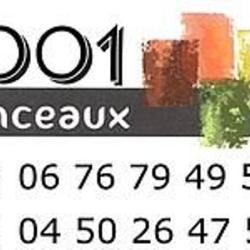 1001 Pinceaux