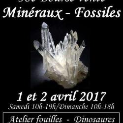 Bourse Minéraux Et Fossiles