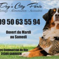 31 Dog's City Paris