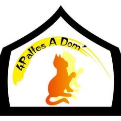 4pattes A Dom'