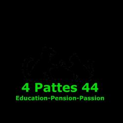 4pattes44