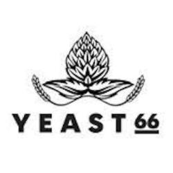 66 Yeast