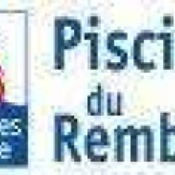 Piscine Du Remblai
