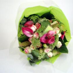 Florescence Events