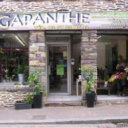 Agapanthe
