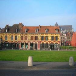 Le Palais Du Cheveu