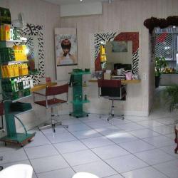 Le Salon...