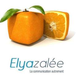 Elyazalée - Communication - Web