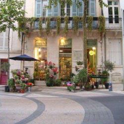 Creations Monte Carlo