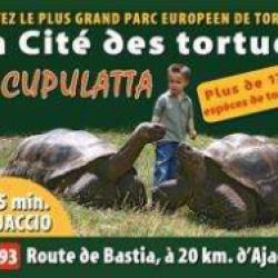 A Cupulatta