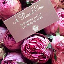 A Fleur D'eau
