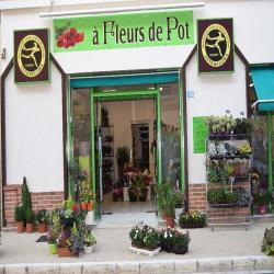 A Fleur De Pot