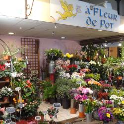 A Fleur De Pot