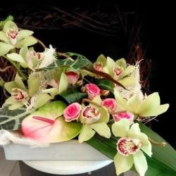 A Fleurs D'eau