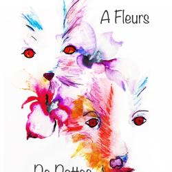 A Fleurs De Pattes
