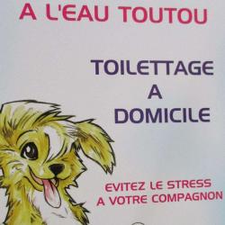 A L'eau Toutou