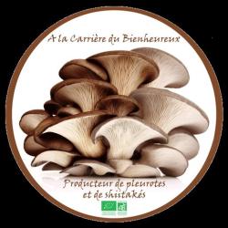 A La Carrière Du Bienheureux