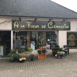 A La Fleur De Clémentine