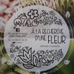 A La Recherche D'une Fleur