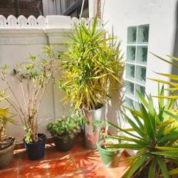 A Little Family