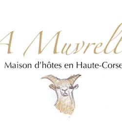 A Muvrella
