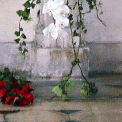 A Fleur D'eau