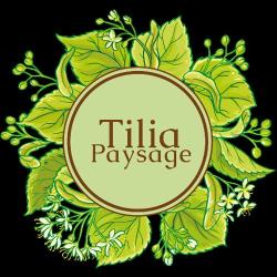 Tilia Paysage