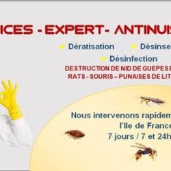 Ab Services L'expert Antinuisible