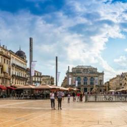 Abault Montpellier