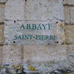 Abbaye Saint Pierre De Solesmes