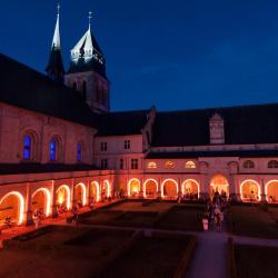 Abbaye De Fontevraud