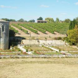 Abbaye Fontdouce