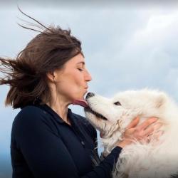 Abc Animaux