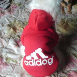 Abc Canin