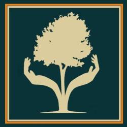 Abc De L'arbre