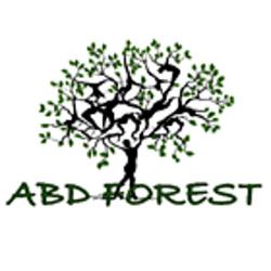 Abd Forest