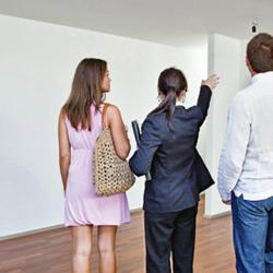Abec Immobilier
