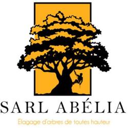 Abelia