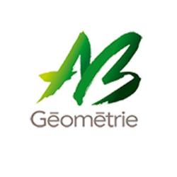 Abgéométrie