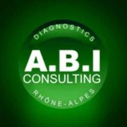 Abi Consulting