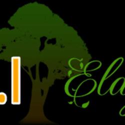 A.b.i Elagage