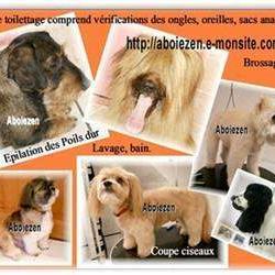 Aboiezen